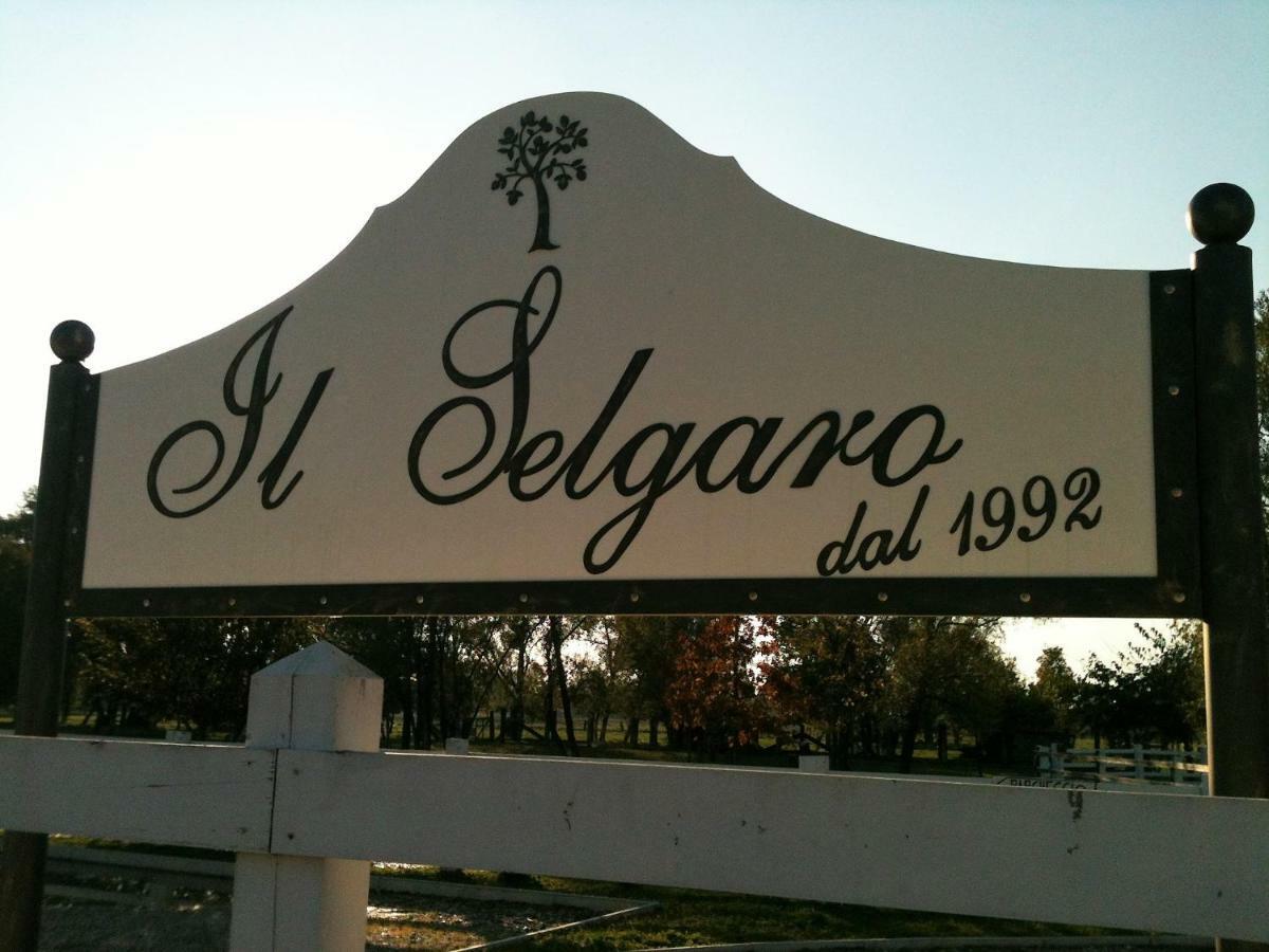 فندق Zelarinoفي  Il Selgaro Agriturismo المظهر الخارجي الصورة